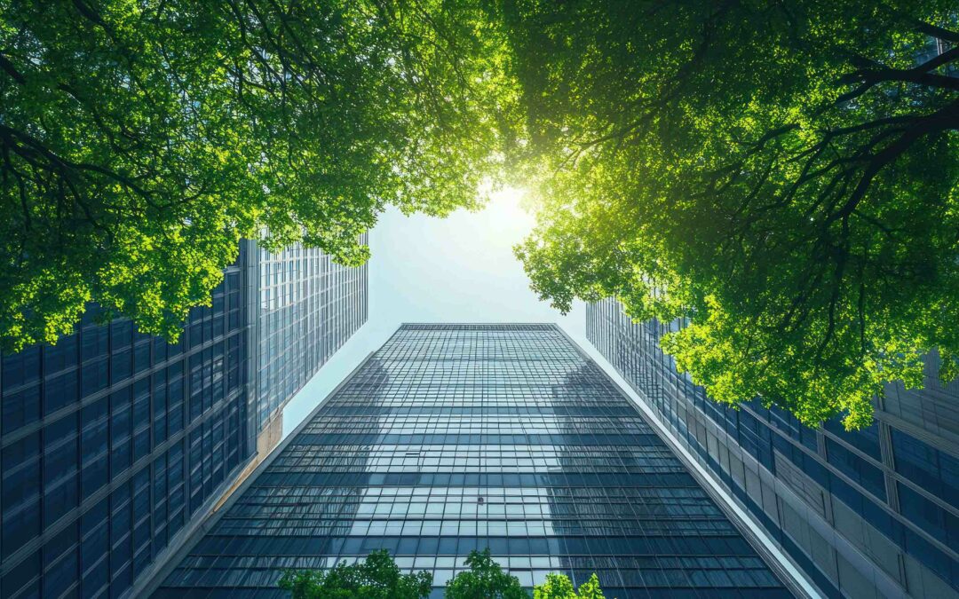 Editorial: Participatory corporate governance for sustainability and accountability.